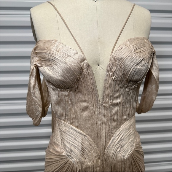 Maria Lucia Hohan Camilla Metallic Silk Bustier Gown $3,730 - Picture 5 of 10